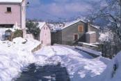 Neige en Corse Nocario sous la Neige 2006.